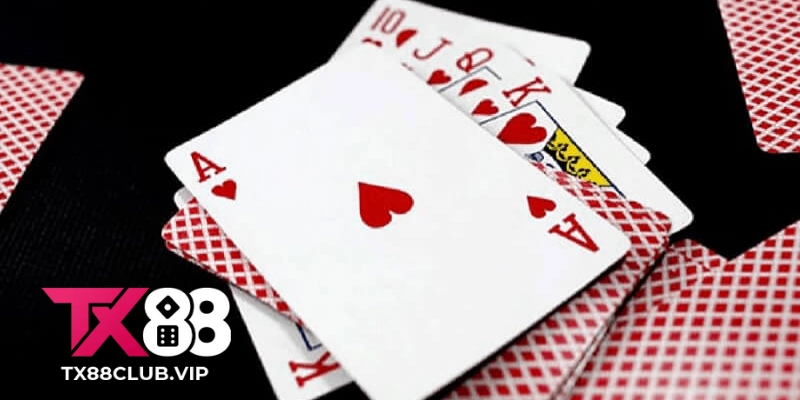 Live Casino TX88